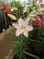 [5354 Perth DJ No01.JPG]